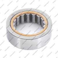 Подшипник ведущего шкива задний №1 (42x67x22.0, роликовый)